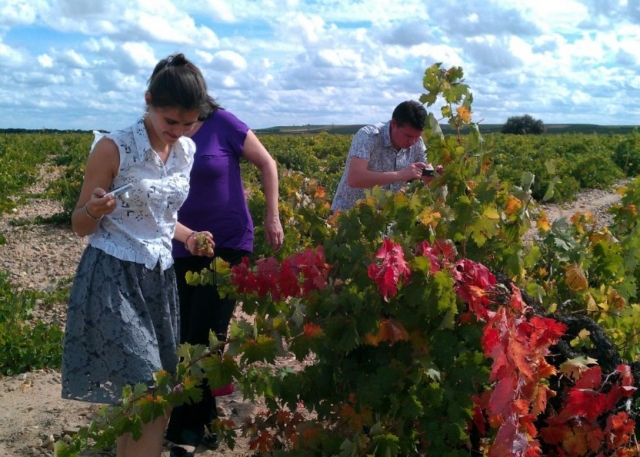 Observando la evolucion de la cosecha